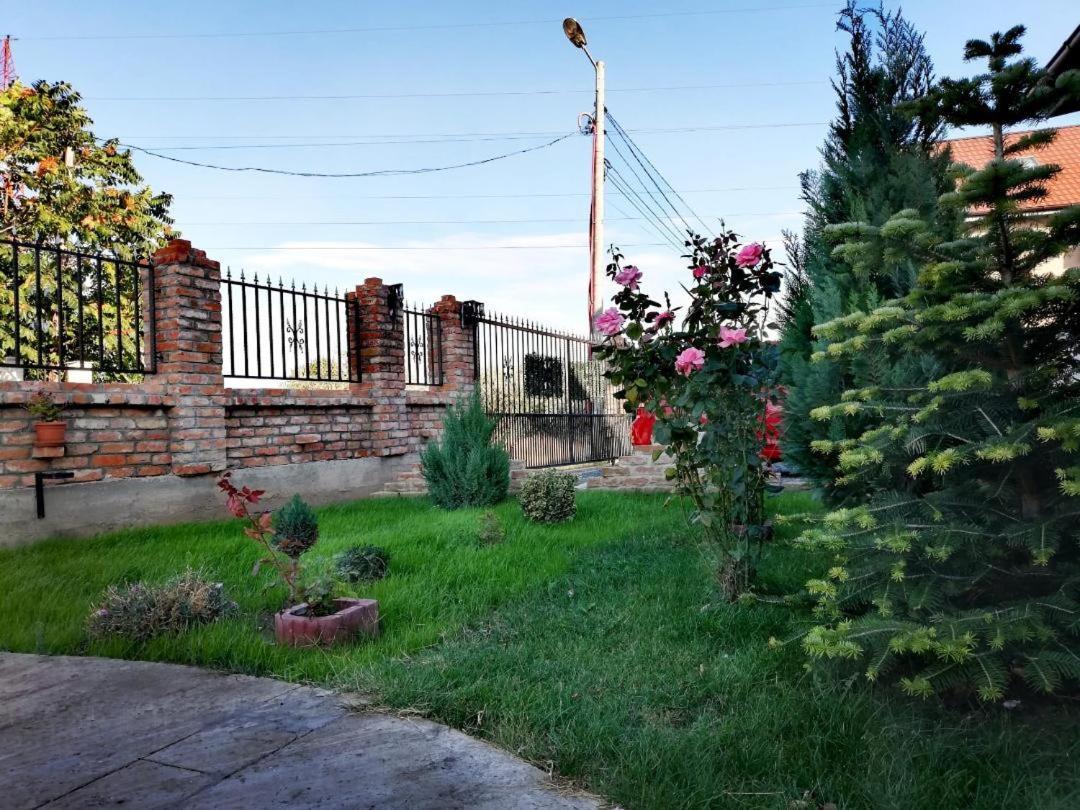 Casa Alba Hotel Năvodari Exterior foto