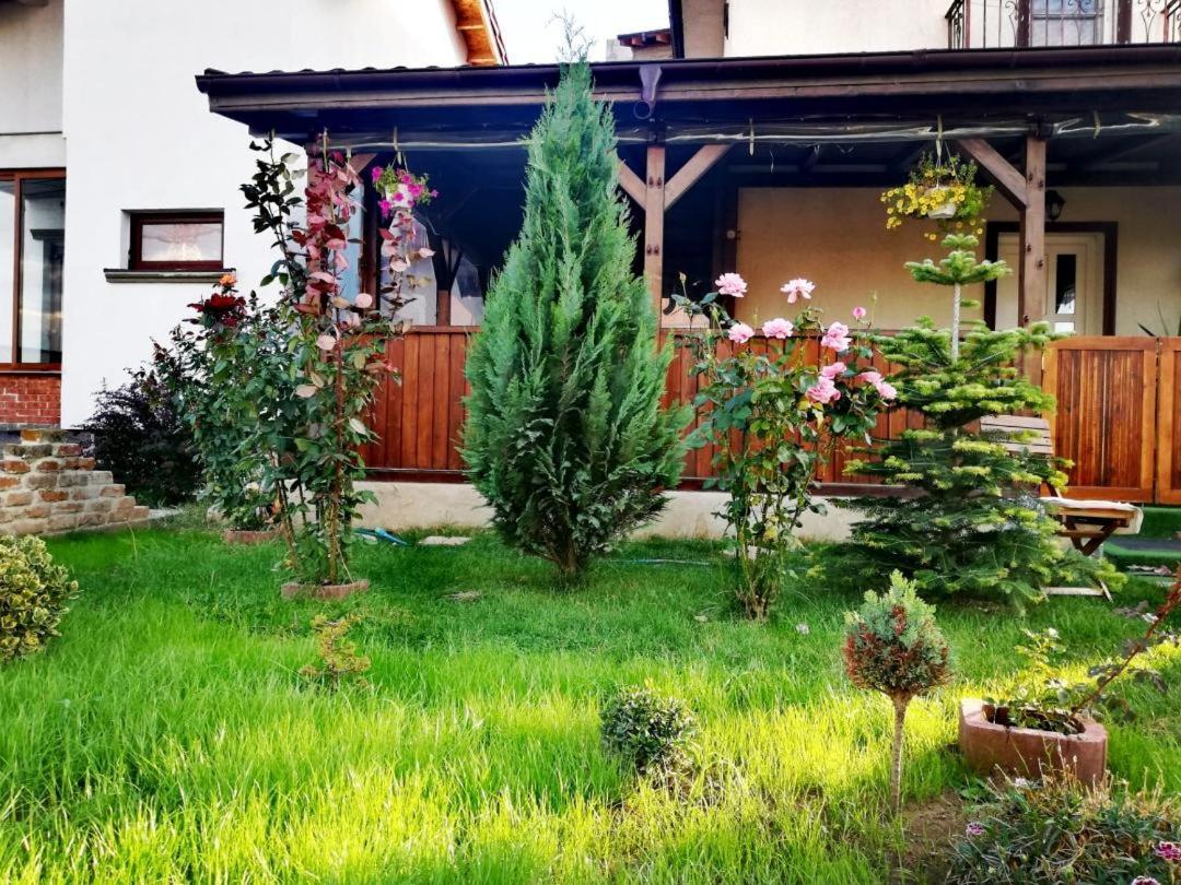 Casa Alba Hotel Năvodari Exterior foto