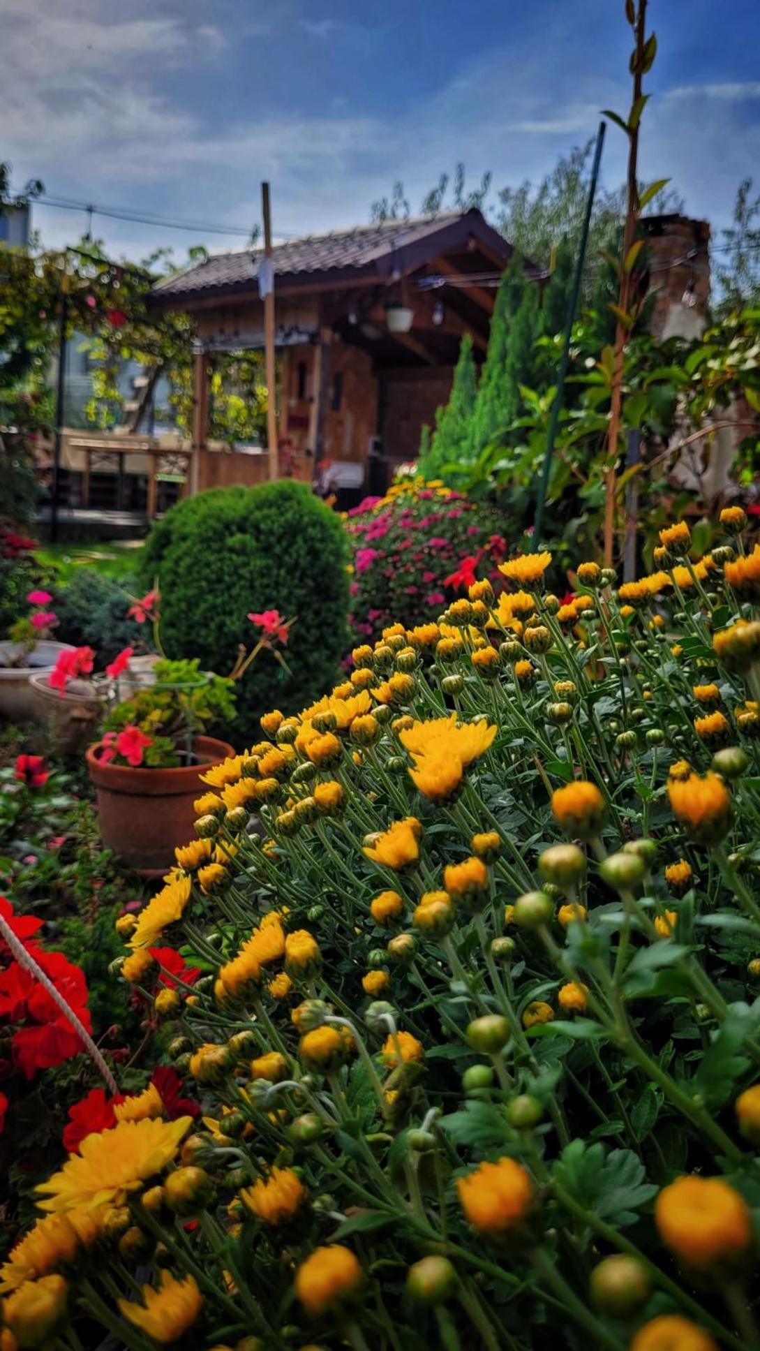 Casa Alba Hotel Năvodari Cameră foto