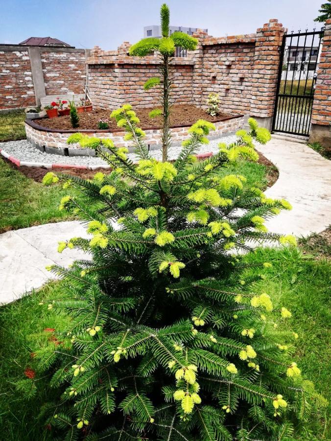 Casa Alba Hotel Năvodari Exterior foto